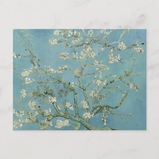Almond Blossom, Vincent Van Gogh, Briefkaarten (Voorkant)