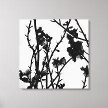 Almond Boom Overzicht Floral Botanische fotografie