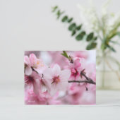 Almond [Postcard] Briefkaart (Staand voorkant)