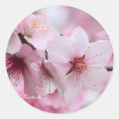 Almond [Round Seal] Ronde Sticker (Voorkant)