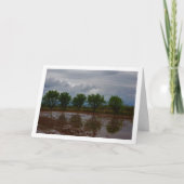 Almond Tree Landscape Card Kaart (Voorkant)