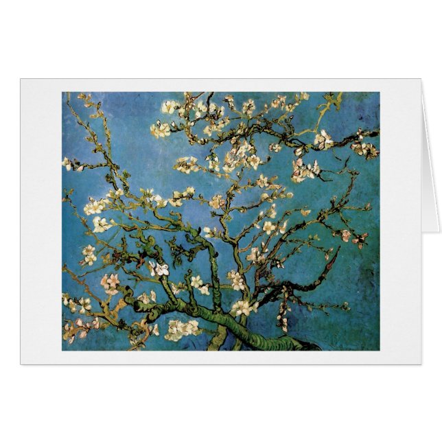 Almond Tree Van Gogh Fine Art bloeien (Voorkant Horizontaal)