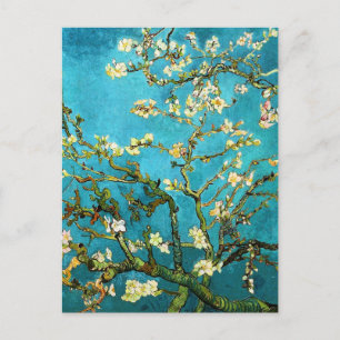 Almond Tree Van Gogh Fine Art bloeien Briefkaart