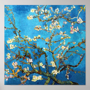 Almond Tree Van Gogh Fine Art bloeien Poster