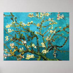 Almond Tree Van Gogh Fine Art bloeien Poster