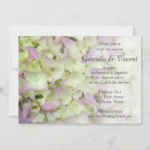 Almost Pink Hydrangea Floral Wedding Kaart (Voorkant)