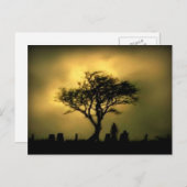 Almost Sunset Briefkaart (Voorkant / Achterkant)