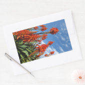 Aloe Arborescens stickers (Envelop)