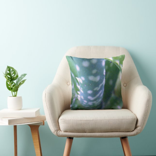 Aloe, Bug's Uitzicht Kussen (Stoel)
