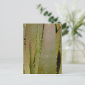 Aloe fermer carte postale (Debout devant)