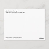 Aloe fermer carte postale (Dos)