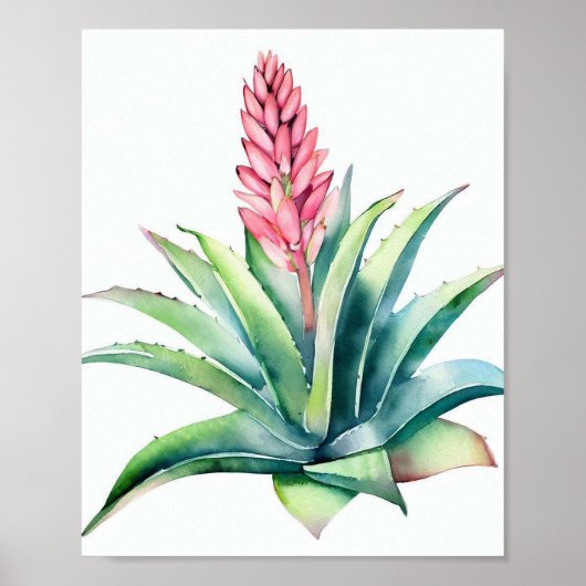 Aloe in bloei poster (Voorkant)
