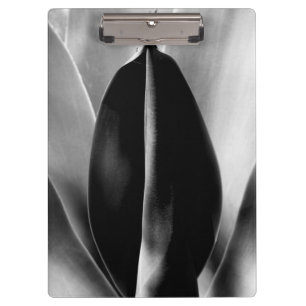 Aloe - Macro Fine Art-foto in zwart-wit Klembord