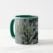 ALOE MOK (Voorkant links)