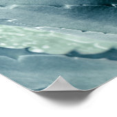 Aloe Poster (Hoek)