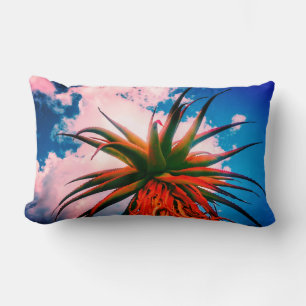 Aloe Succulente Plant Hemel Wolken Worp Kussen