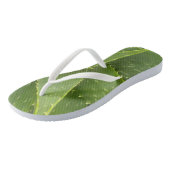 Aloe Teenslippers (Schuin)