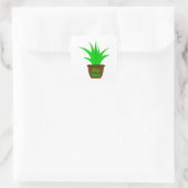 Aloe Vera avec un Étiquette (Sac)