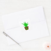 Aloe Vera avec un Étiquette (Enveloppe)