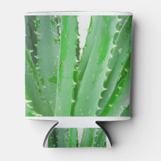 Aloe Vera Blikjeskoeler