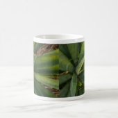 Aloe Vera Coffee Mok (Center)