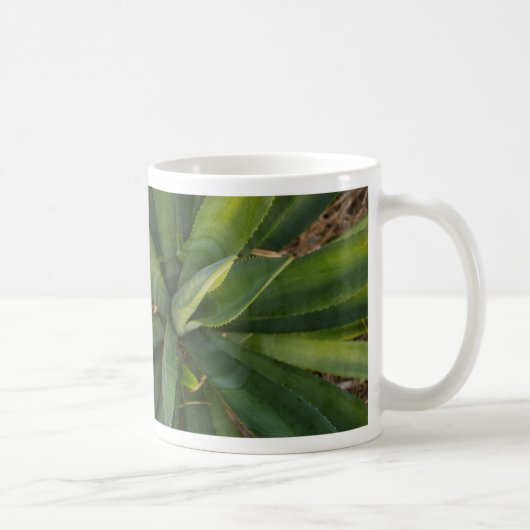 Aloe Vera Coffee Mok (Rechts)