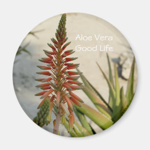 Aloë Vera plant bloem Button Magneet