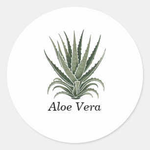 Aloe Vera Plant Kruidendrogerij  Ronde Sticker