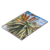 Aloe Vera plante et carnet de fleurs (Côté gauche)