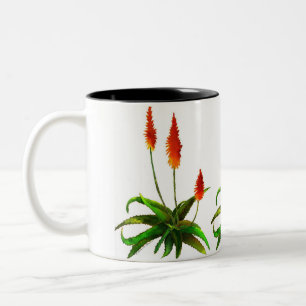 Aloe waterverf mok
