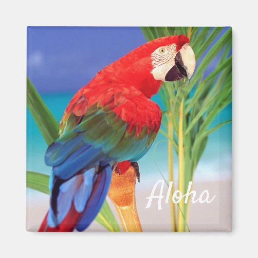 Aloha Bird Magnet (Devant)