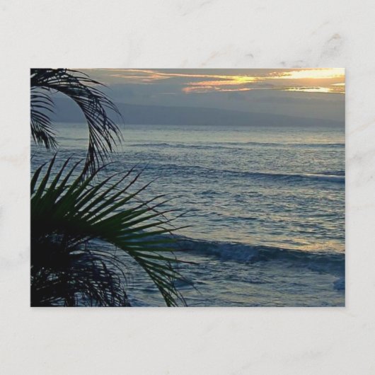 Aloha Briefkaart (Voorkant)