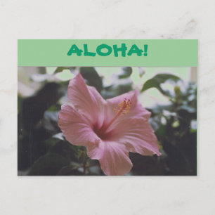 ALOHA. -briefkaart Briefkaart