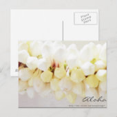 Aloha en Mahalo Briefkaart (Voorkant / Achterkant)