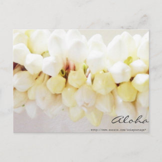 Aloha en Mahalo Briefkaart