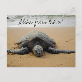 Aloha from Oahu! Postcard met Sea Turtle Briefkaart