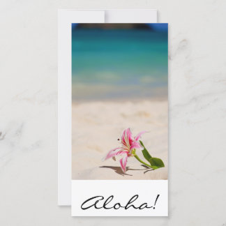 Aloha! Hawaï