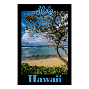 Aloha Hawaii affiche de voyage