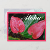 Aloha Hawaii Anthurium Briefkaart (Voorkant / Achterkant)