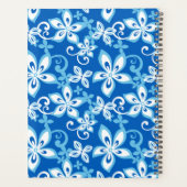 ALOHA HAWAII (BLUES) (Dos)