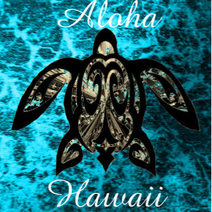 Aloha Hawaii Standaard Schort