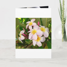 Aloha Hawaiian Frangipani Blossoms Vrijgezellenfee