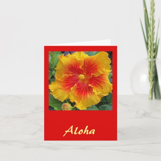 Aloha Hibiscus Bedankkaart (Voorkant)