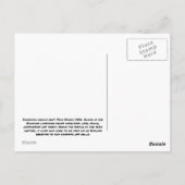 Aloha Kaanapali 21 Carte postale (Dos)