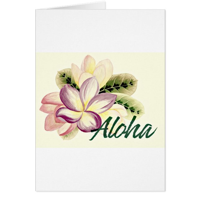 Aloha Plumeria (Devant)