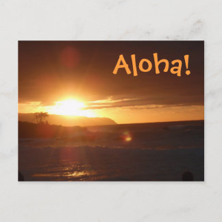 Aloha uit het Briefkaart Hawaï