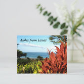 Aloha uit Lanai Hawaii Briefkaart (Staand voorkant)