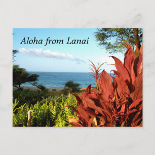 Aloha uit Lanai Hawaii Briefkaart