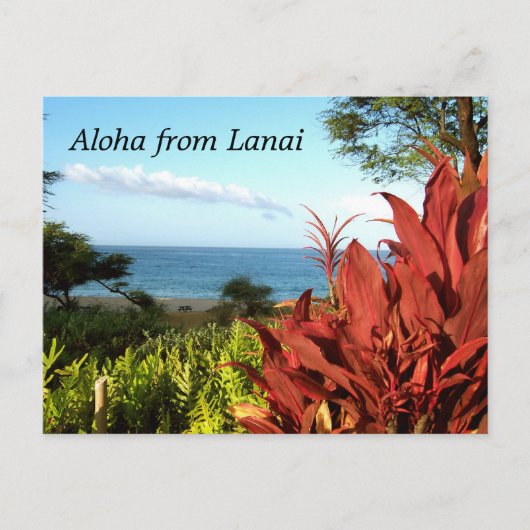 Aloha uit Lanai Hawaii Briefkaart (Voorkant)