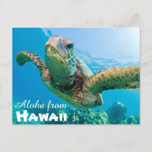 Aloha van Hawaii Honu Groene Zee Schildpad Briefkaart